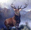 Monarch of the Glen